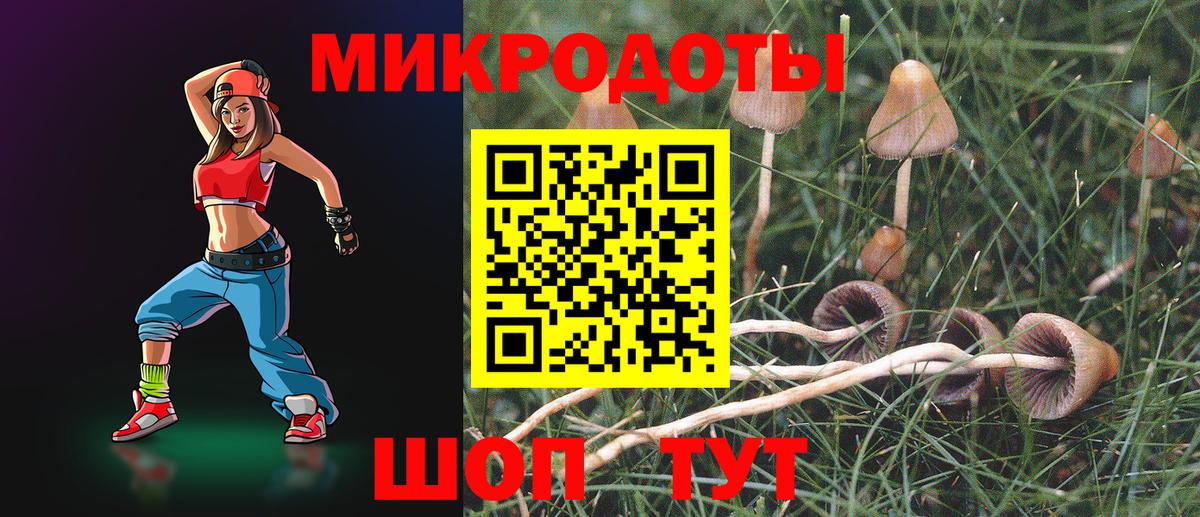 Галлюциногенные грибы Cubensis  Вход с VPN  Отрадное 
